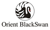 Client 11